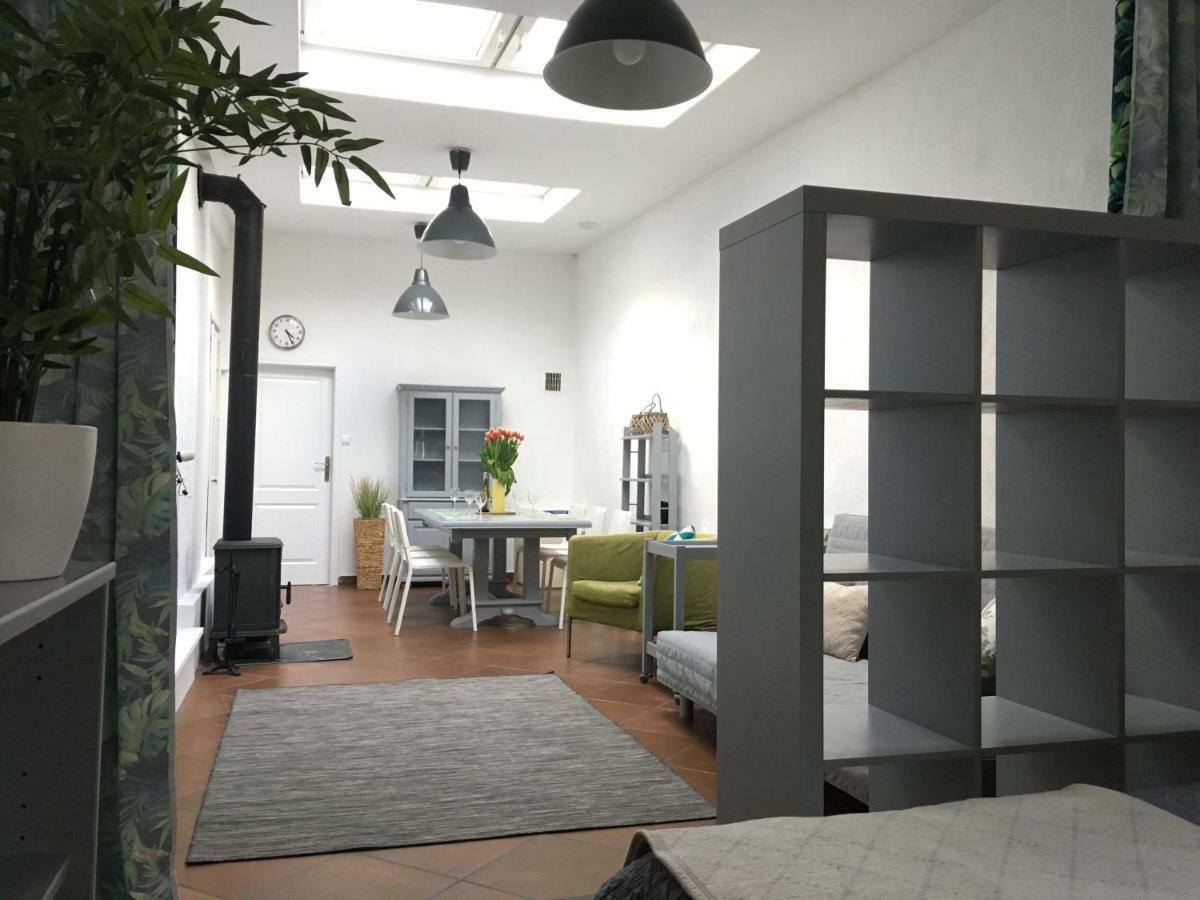 Big Calm Apart Hotel 15Min Warsaw 6Pers Wifi Fireplace Garden Grill المظهر الخارجي الصورة